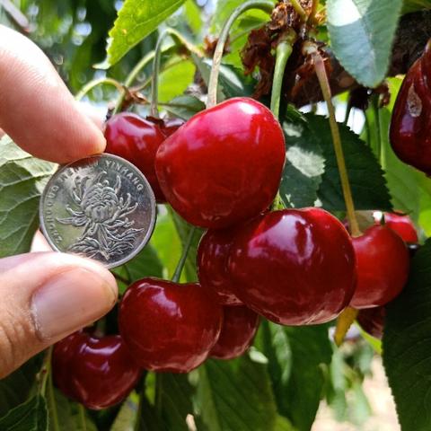 我就是